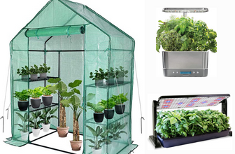 Best Outdoor Grow Setup