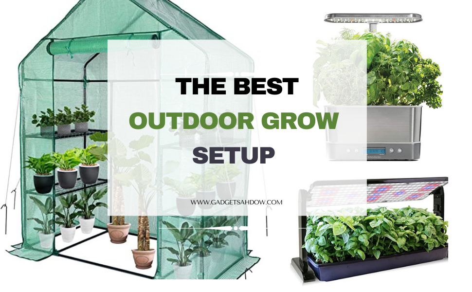 Best Outdoor Grow Setup